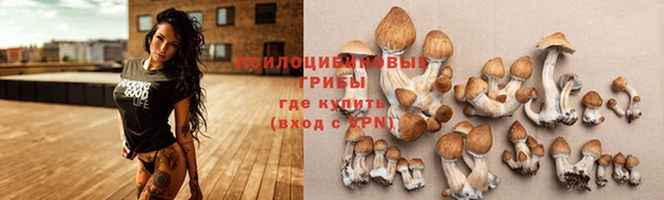 прущие крисы Алзамай
